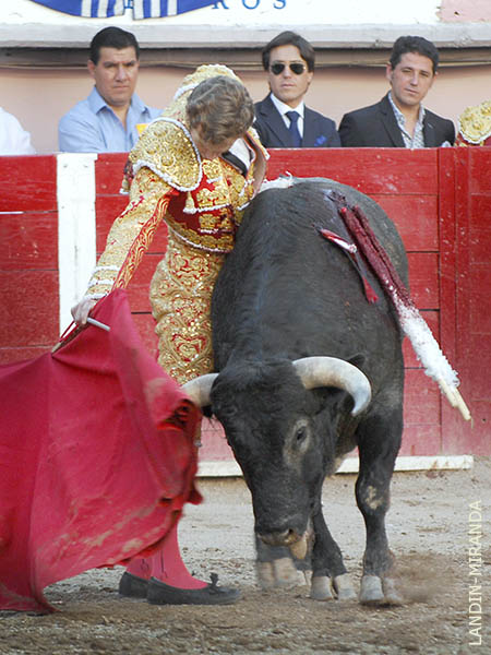 Cort�sima distancia