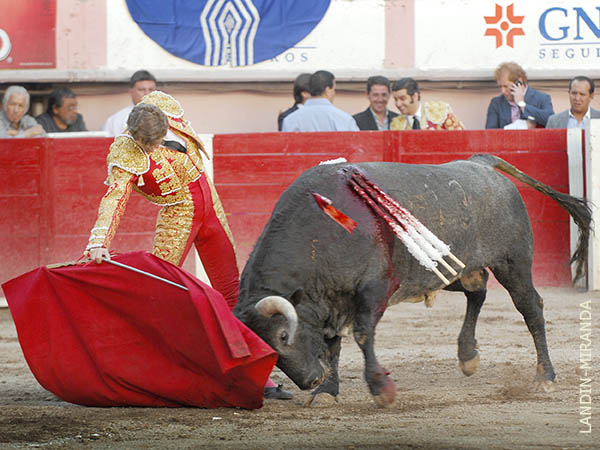 Capaz de hacer tanto con tan poco