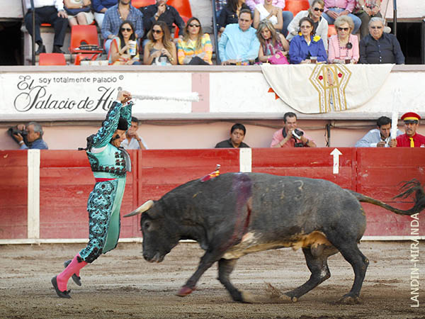 Rafa en el centro del albero