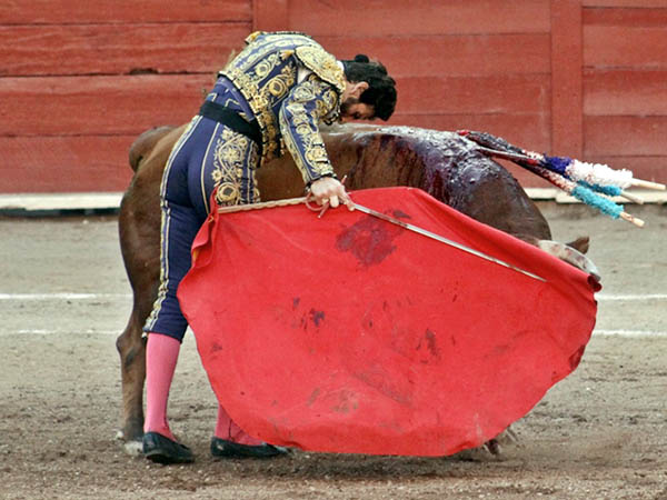 Cabezazos en el lomo