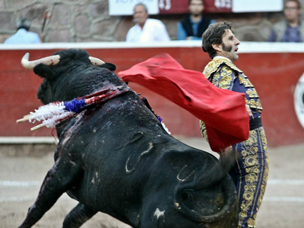 Tienen cabida en el caleidoscopio