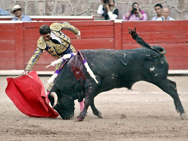 Sus detalles de toreo bueno