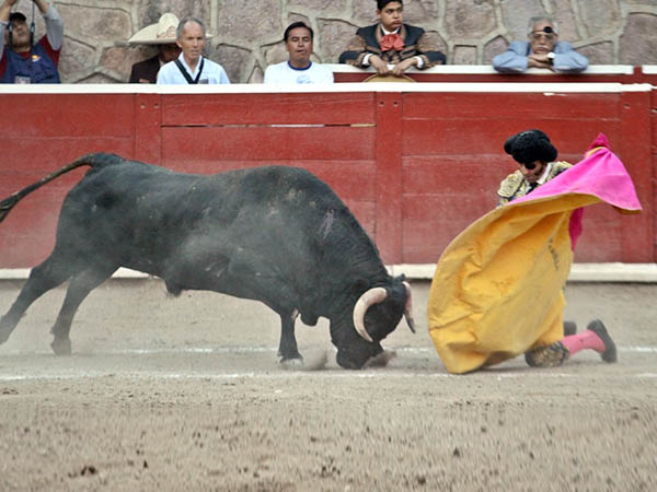 Ramillete de ver�nicas de rodillas