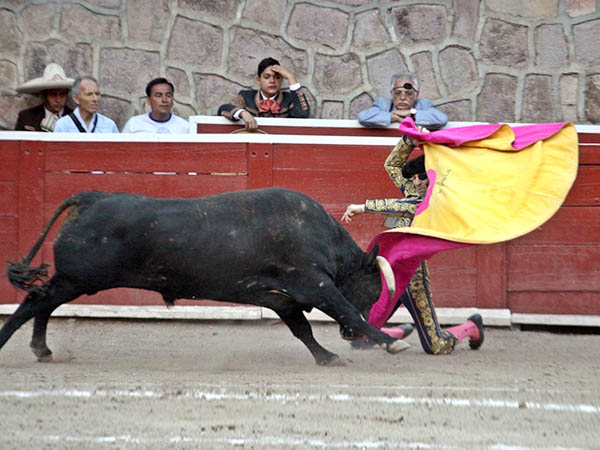 Toreo alegre y bullidor