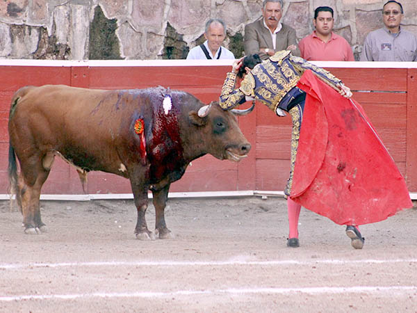 Coreado en sus desplantes