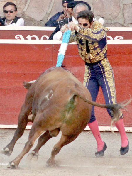 Maestro banderillero