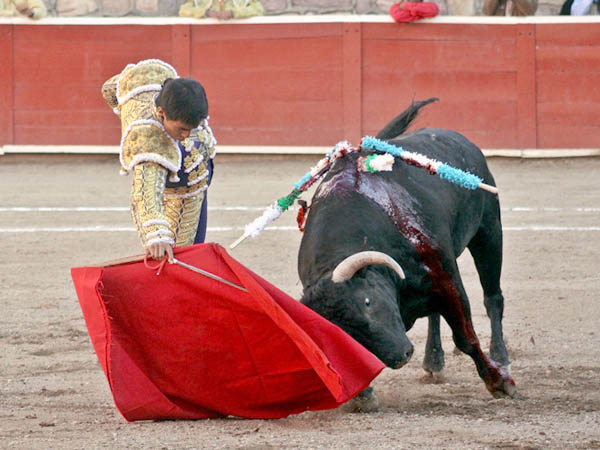 Consigui� torear con buen concepto