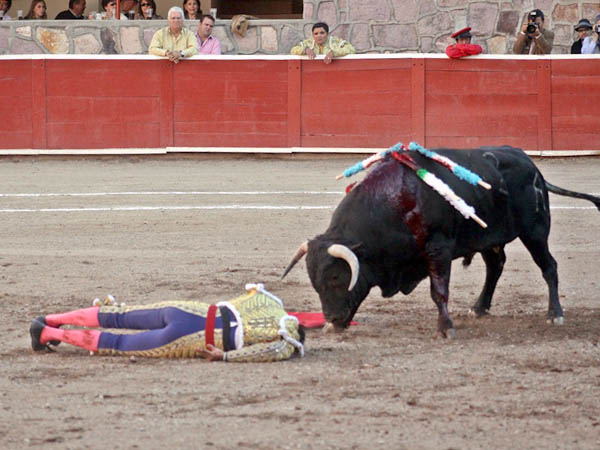 Fea ca�da en la voltereta