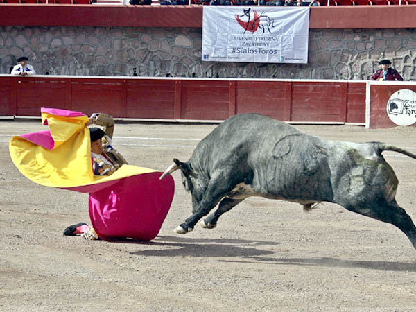 Deseos de triunfo grande