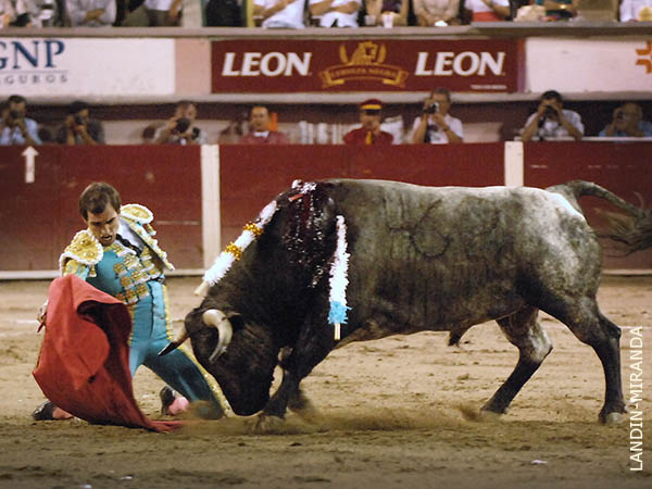 Vibrante inicio de faena