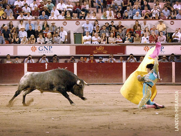 Recibi� con una larga en los medios