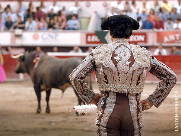 El �ltimo par de profesional