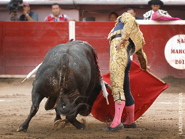 Utiliz� toda su experiencia