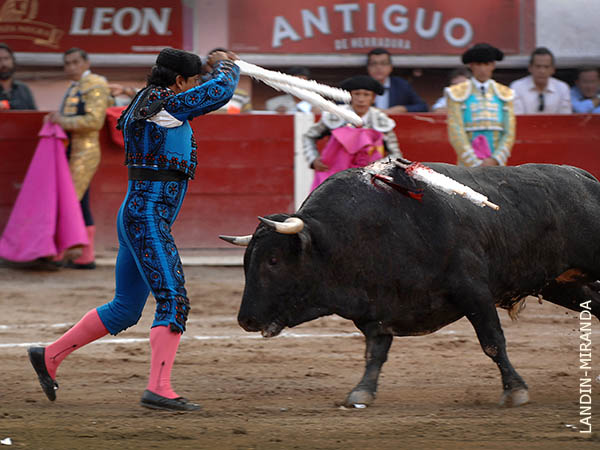 Cuadrando en la cara