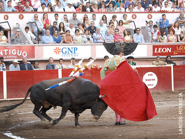 Pas�ndo los pitones por la espalda