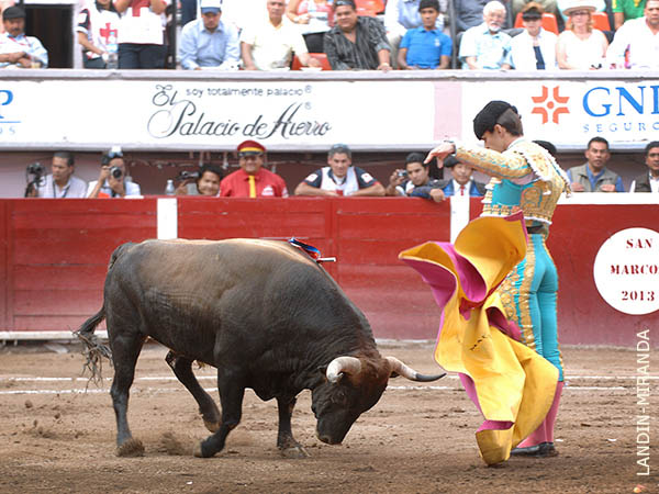 Abrochando en la boca del riego