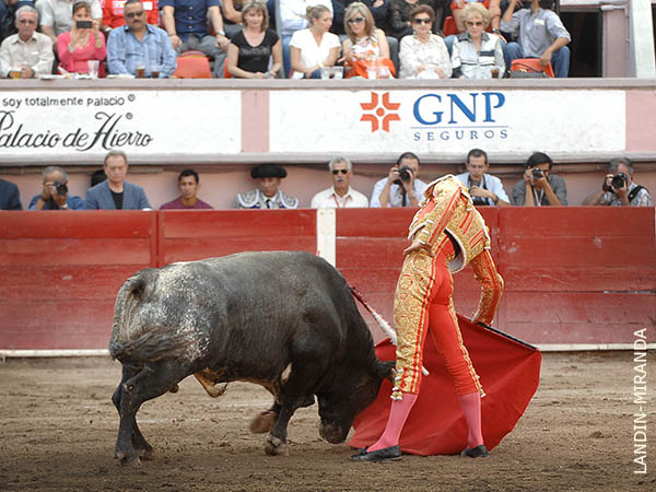 No ha tenido tela de donde cortar