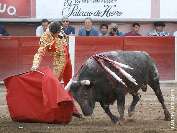 Es un esteta del toreo