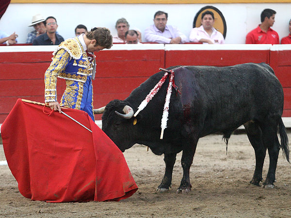 Metido entre los pitones