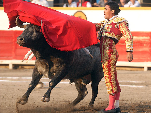 Acometiendo hasta el final