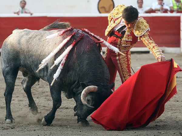 Concierto de naturales