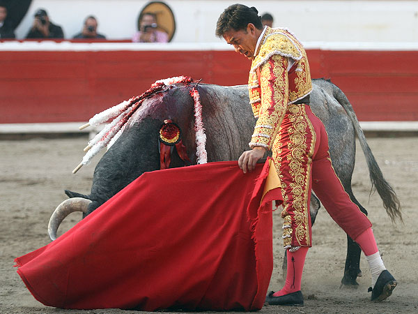 Un toro con mucha clase