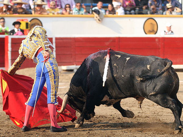 Enganchado a la muleta