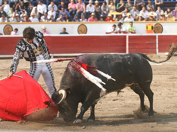 El trazo de Joselito