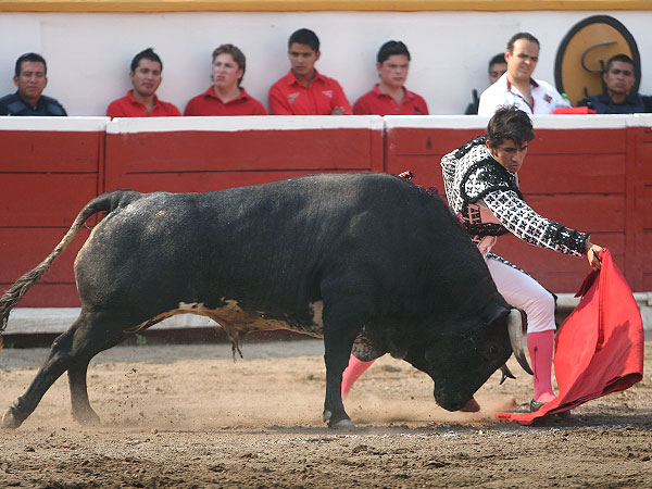 Sintiendo la embestida