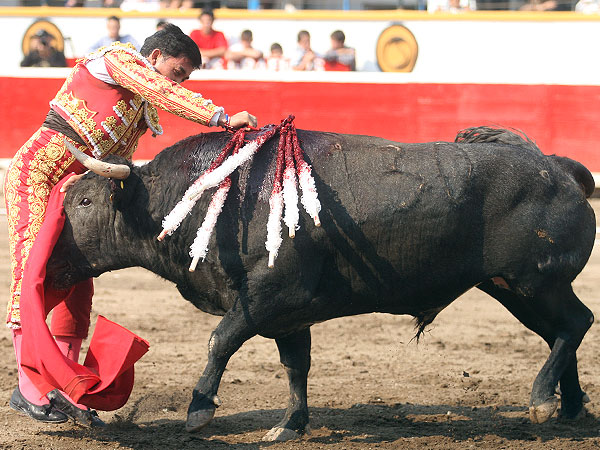 Matando con desici�n