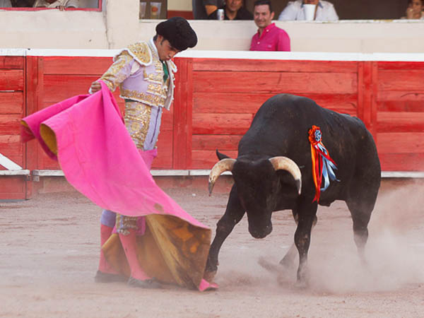 El saludo de Lomel�n