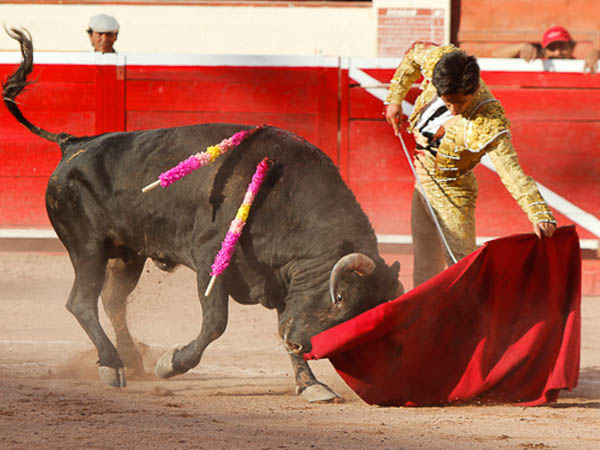 Coreado en los ayudados