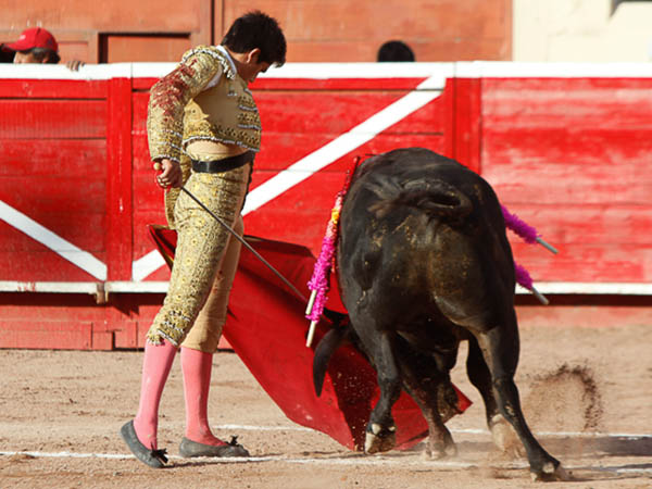 Reposo en los muletazos