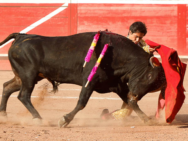 Pr�logo rodilla en tierra