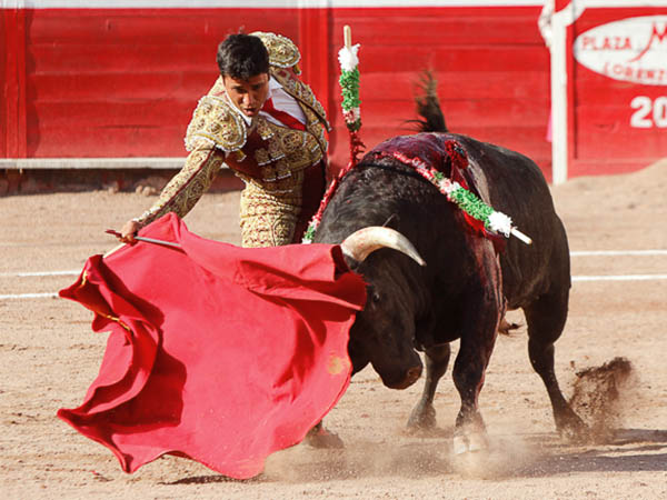 Largueza regiomontana