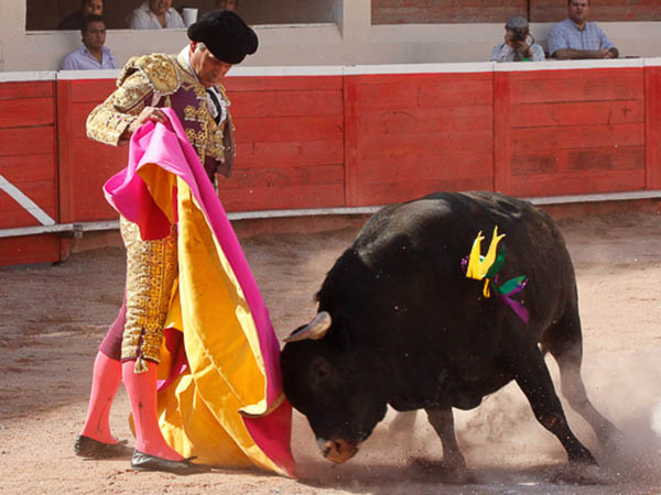 Ver�nicas de Enrique Garza