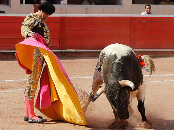 Hern�n Ondarza saluda al berrendo