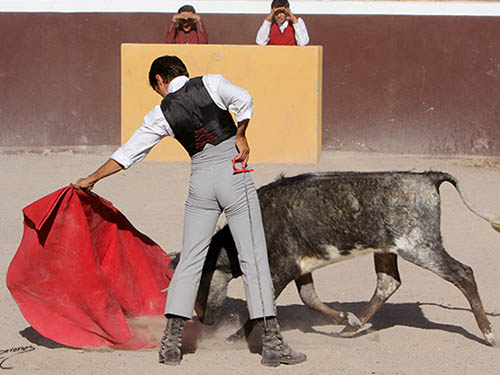 Defini� ya su estilo propio