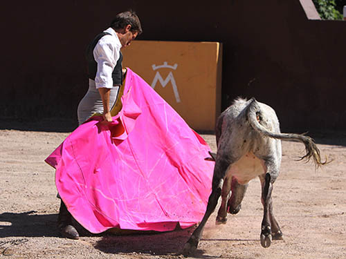 Entrga y disposici�n