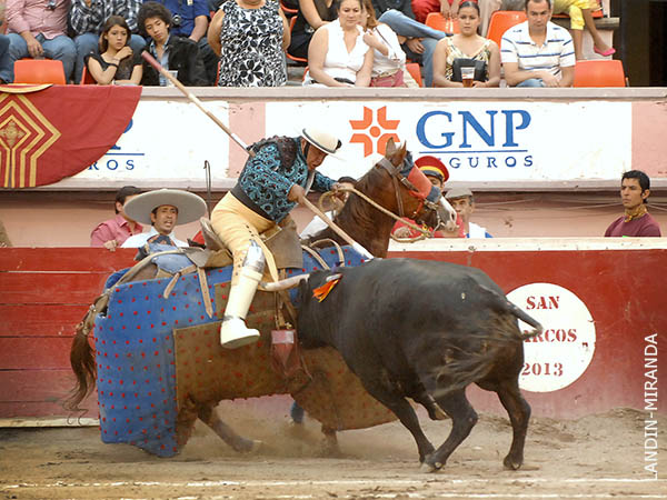 La cabalgadura a media altura