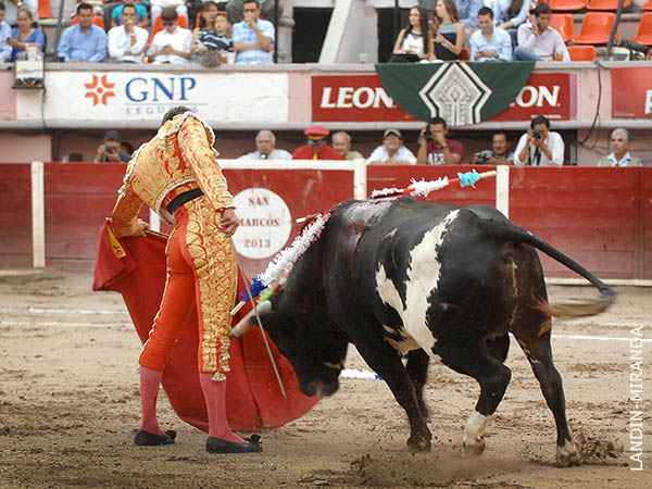 Voluntad y torerismo