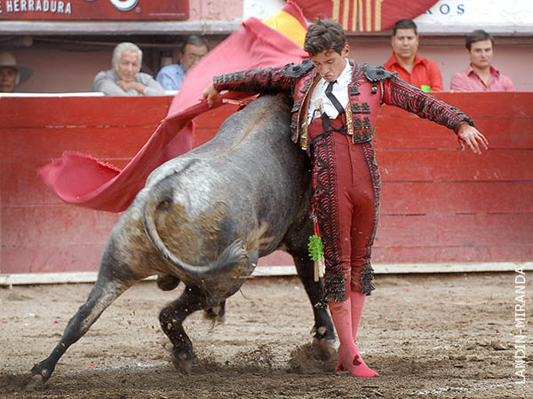 Proyect� enormidades a los tendidos