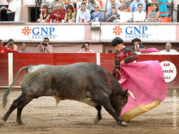 Chicuelinas morelianas