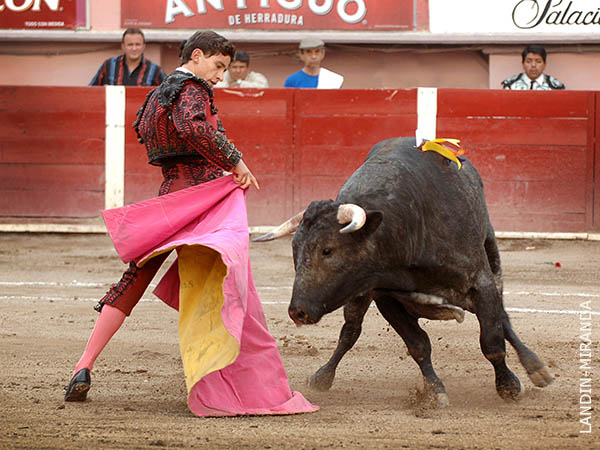 Media en el centro del pandero