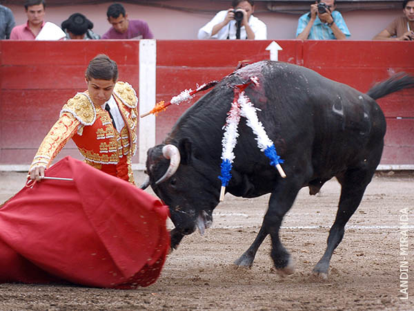 Labor aquilatada por el p�blico