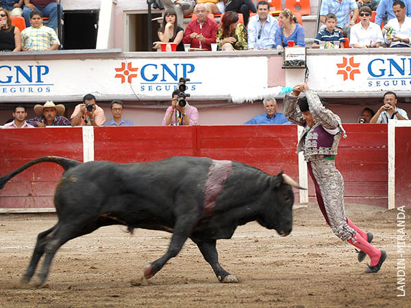 Edgar, en la cara del ejemplar