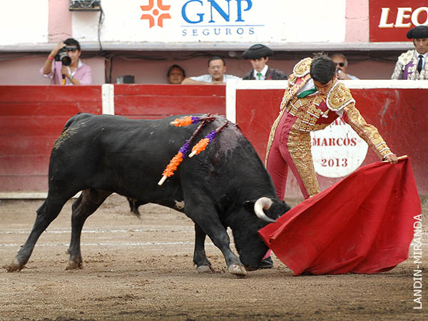 Naturales de terciopelo