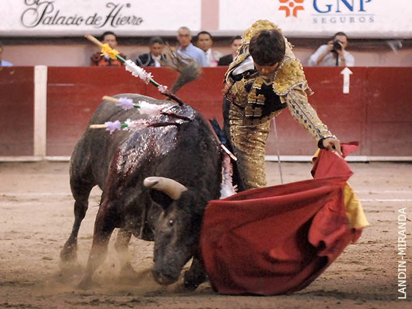 Extrajo pases a un ejemplar dif�cil