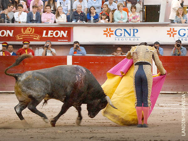 Vistoso y variado en el quite