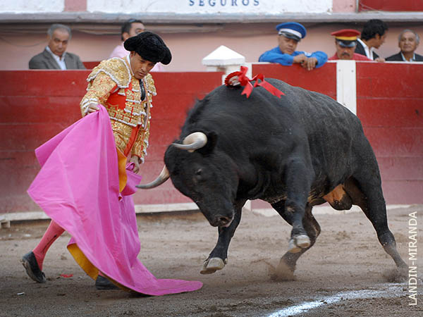 Las ver�nicas de Rafa Ortega